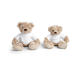 Muster Teddybären mit T-Shirt